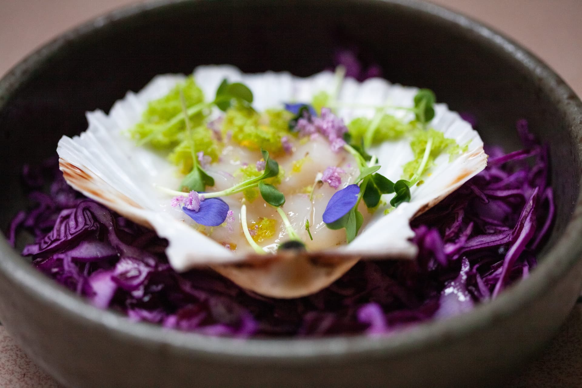 Culinaire — 16