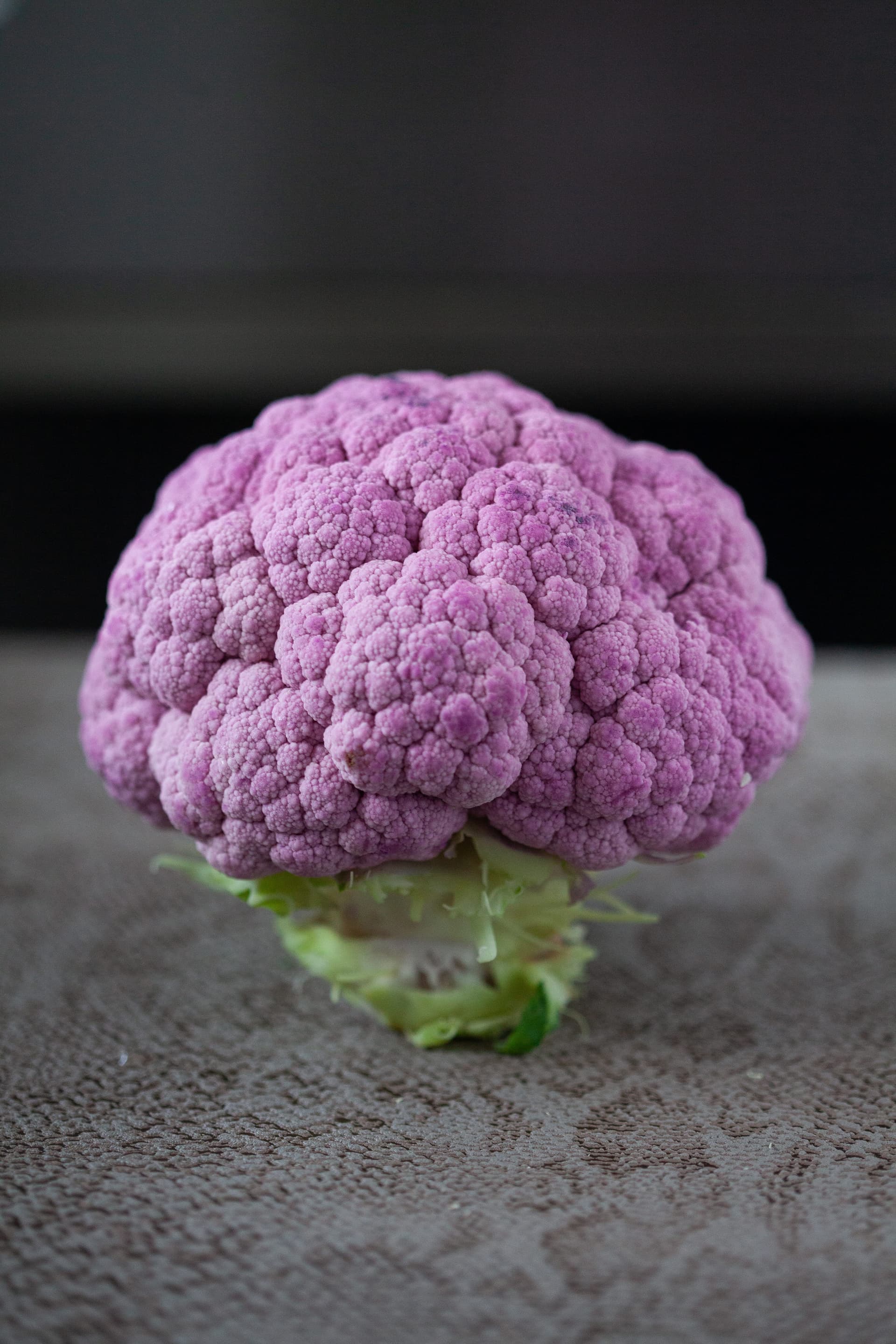 Culinaire — 2