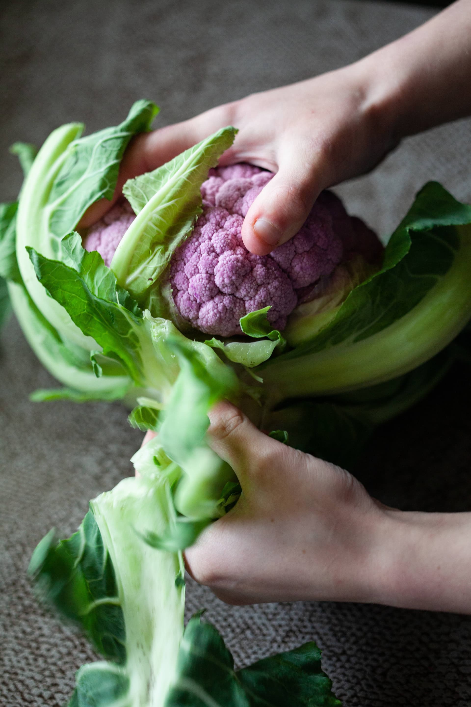Culinaire — 3