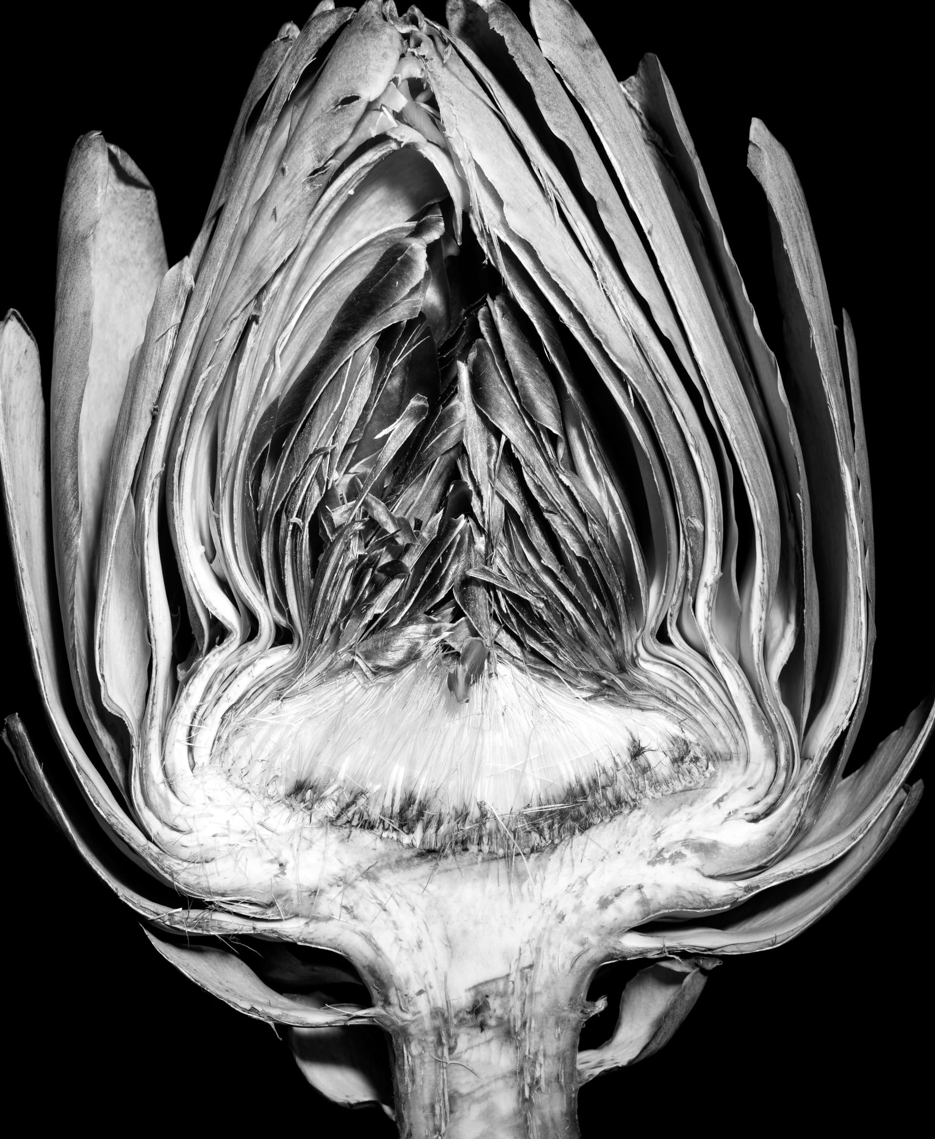 Culinaire — 4